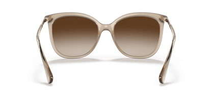 0RA5248 Gradient Brown Shiny Transparent Brown 8056597620635