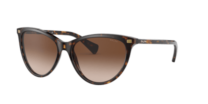 0RA5270 Gradient Brown Shiny Dark Havana 8056597222464