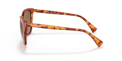 0RA5274 Gradient Brown Havana 8056597348157
