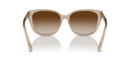 0RA5274 Gradient Brown Shiny Transparent Brown 8056597712392