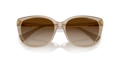 0RA5274 Gradient Brown Shiny Transparent Brown 8056597712392