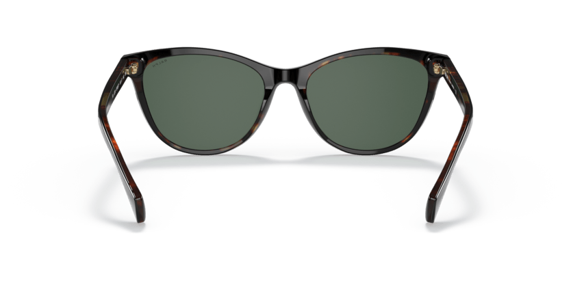 0RA5275 Green Shiny Black On Dark Havana 8056597347587