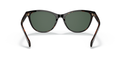 0RA5275 Green Shiny Black On Dark Havana 8056597347587