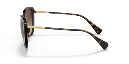 0RA5288U Gradient Brown Shiny Dark Havana 8056597614726