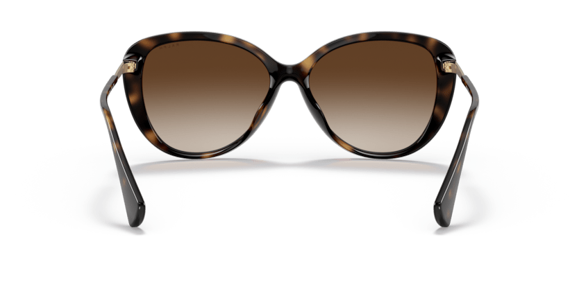 0RA5288U Gradient Brown Shiny Dark Havana 8056597614726