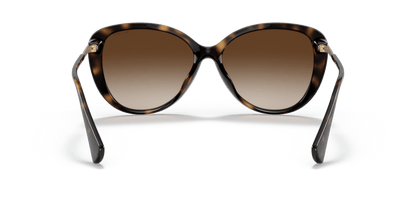 0RA5288U Gradient Brown Shiny Dark Havana 8056597614726