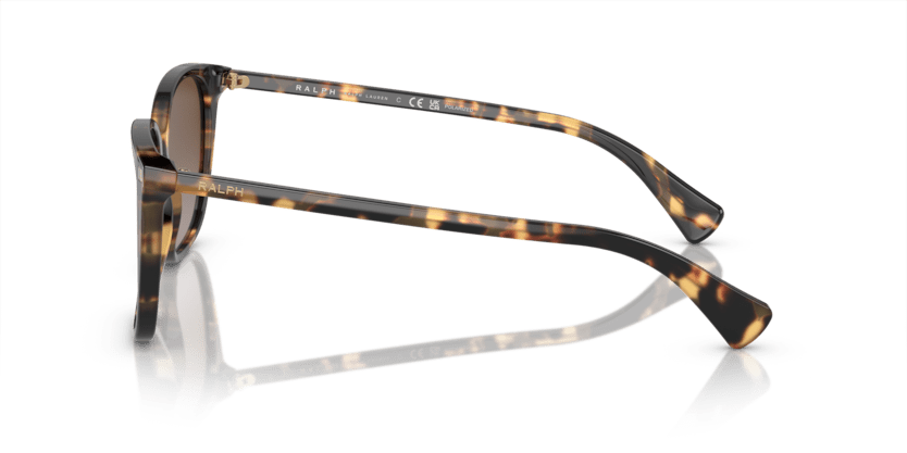 0RA5293 Polar Gradient Brown Shiny Havana Yellow 8056597961301