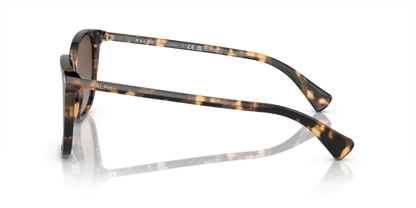0RA5293 Polar Gradient Brown Shiny Havana Yellow 8056597961301