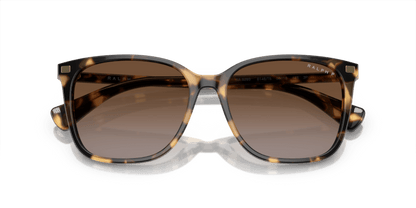 0RA5293 Polar Gradient Brown Shiny Havana Yellow 8056597961301