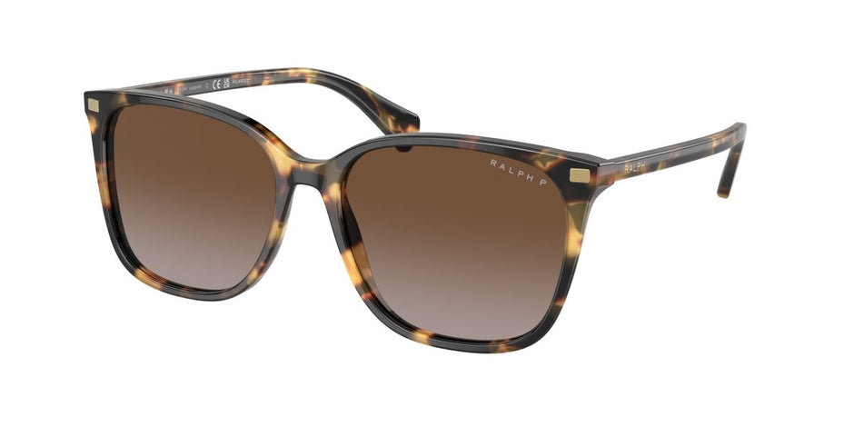 0RA5293 Polar Gradient Brown Shiny Havana Yellow 8056597961301