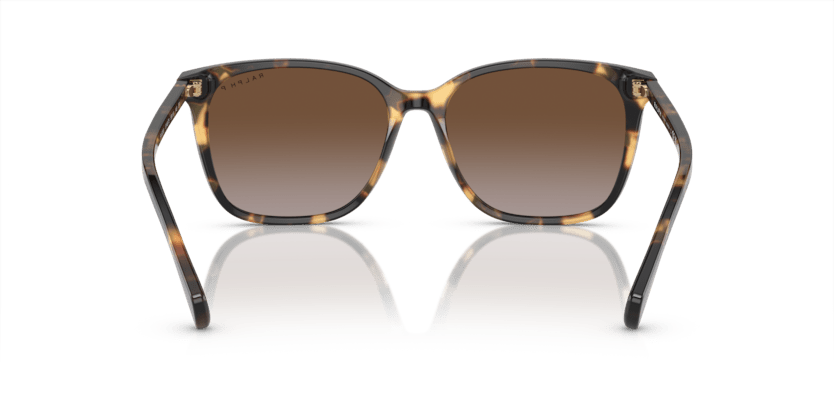 0RA5293 Polar Gradient Brown Shiny Havana Yellow 8056597961301