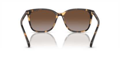 0RA5293 Polar Gradient Brown Shiny Havana Yellow 8056597961301