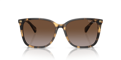 0RA5293 Polar Gradient Brown Shiny Havana Yellow 8056597961301