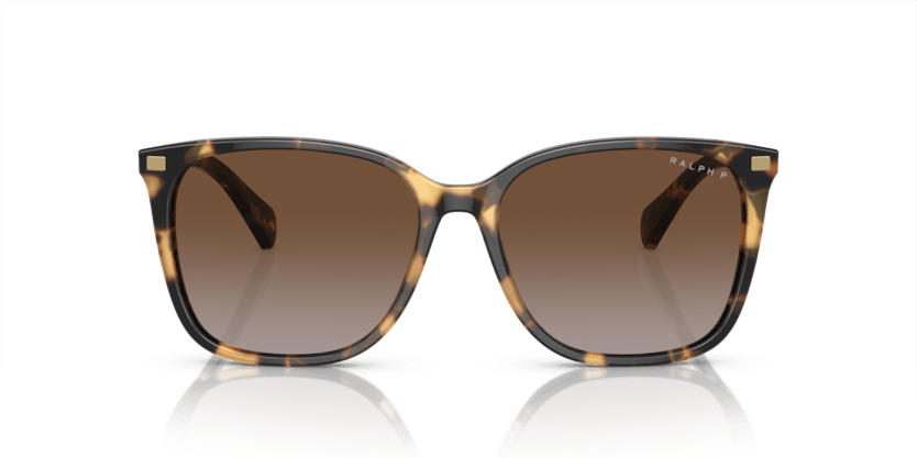 0RA5293 Polar Gradient Brown Shiny Havana Yellow 8056597961301