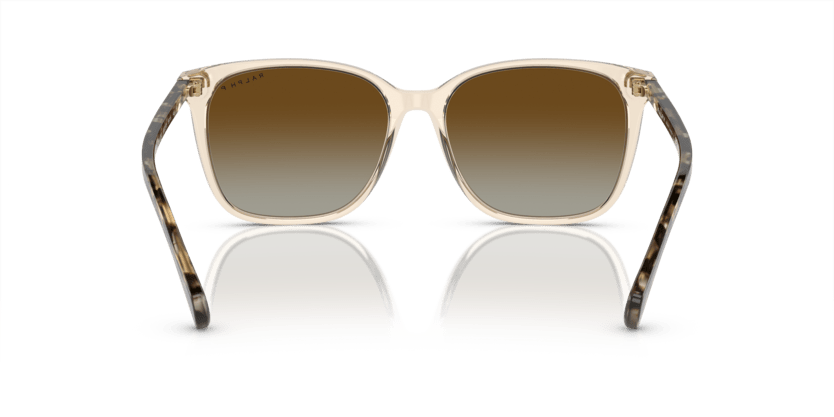 0RA5293 Polar Gradient Brown Shiny Transparent Brown 8056262038895