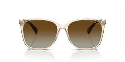 0RA5293 Polar Gradient Brown Shiny Transparent Brown 8056262038895