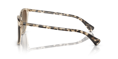0RA5293 Polar Gradient Brown Shiny Transparent Brown 8056262038895