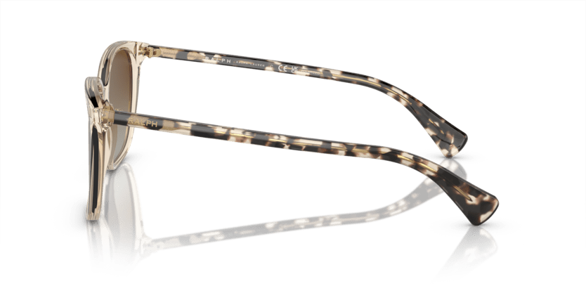 0RA5293 Polar Gradient Brown Shiny Transparent Brown 8056262038895