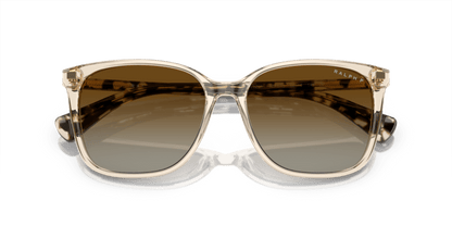 0RA5293 Polar Gradient Brown Shiny Transparent Brown 8056262038895