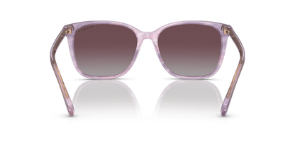 0RA5293 Violet Polar Striped Purple 8056597705738