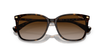 0RA5293 Gradient Brown Shiny Dark Havana 8056597699204