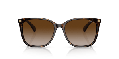 0RA5293 Gradient Brown Shiny Dark Havana 8056597699204