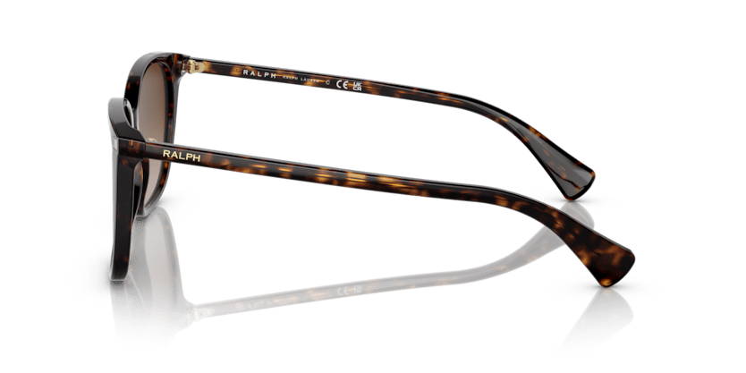 0RA5293 Gradient Brown Shiny Dark Havana 8056597699204