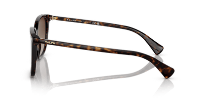 0RA5293 Gradient Brown Shiny Dark Havana 8056597699204