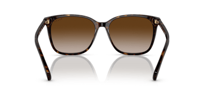 0RA5293 Gradient Brown Shiny Dark Havana 8056597699204