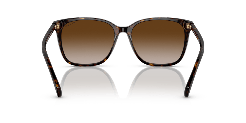 0RA5293 Gradient Brown Shiny Dark Havana 8056597699204