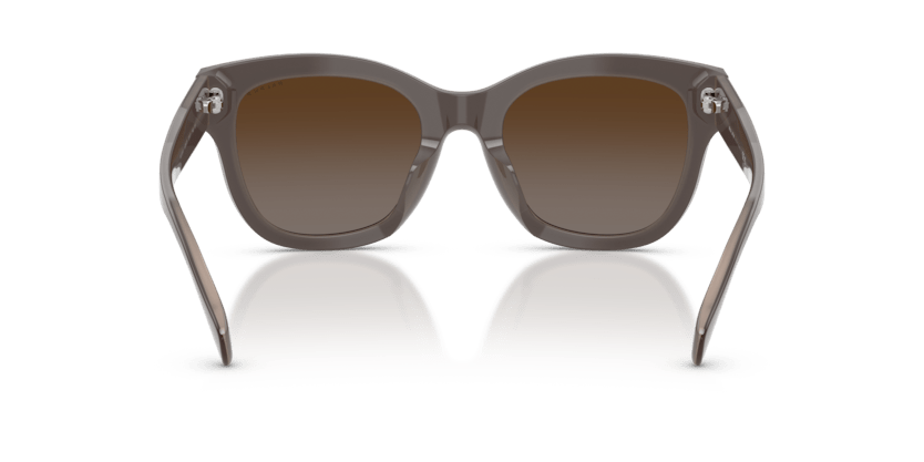 0RA5301U Polar Light Brown Shiny Milky Brown 8056262458648