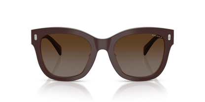 0RA5301U Polar Light Brown Shiny Milky Brown 8056262458648