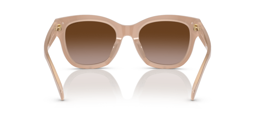 0RA5301U Gradient Brown Beige On  Milky Beige 8056597809139