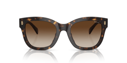 0RA5301U Gradient Brown Shiny Dark Havana 8056597809108