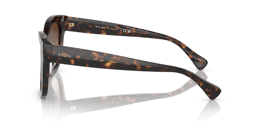 0RA5301U Gradient Brown Shiny Dark Havana 8056597809108