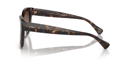 0RA5301U Gradient Brown Shiny Dark Havana 8056597809108