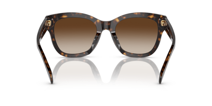 0RA5301U Gradient Brown Shiny Dark Havana 8056597809108