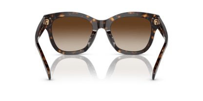 0RA5301U Gradient Brown Shiny Dark Havana 8056597809108