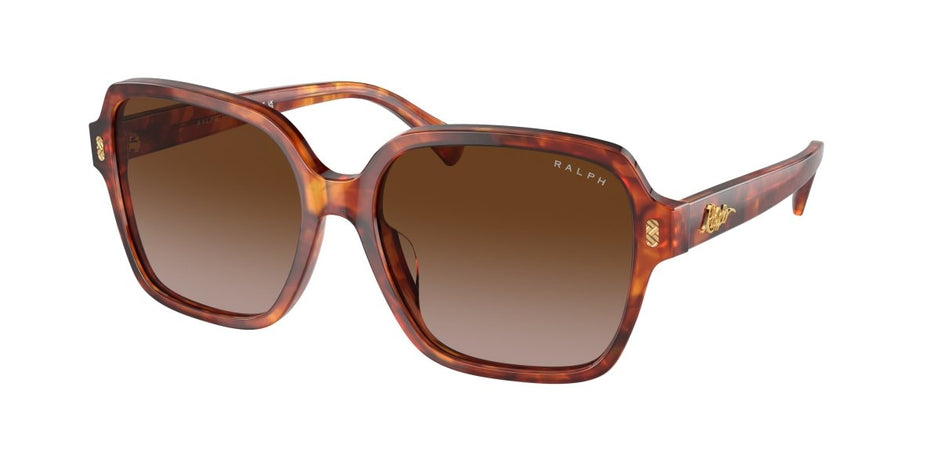 0RA5304U Gradient Brown Orange Havana 8056597904643