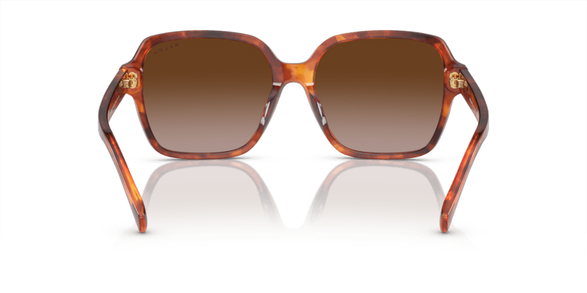0RA5304U Gradient Brown Orange Havana 8056597904643