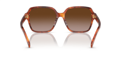 0RA5304U Gradient Brown Orange Havana 8056597904643