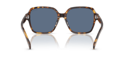 0RA5304U Dark Blue Shiny Havana 8056262195567