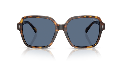 0RA5304U Dark Blue Shiny Havana 8056262195567