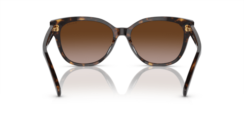 0RA5305U Gradient Brown Black Havana 8056597904339