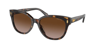 0RA5305U Gradient Brown Black Havana 8056597904339
