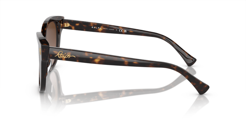 0RA5305U Gradient Brown Black Havana 8056597904339