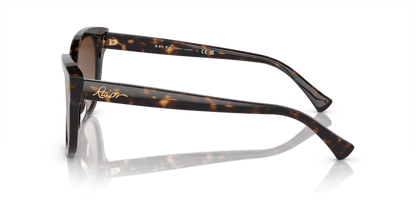 0RA5305U Gradient Brown Black Havana 8056597904339