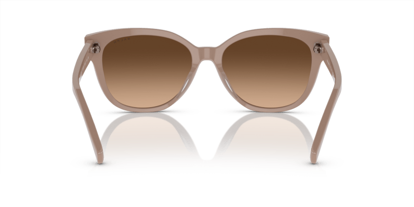 0RA5305U Brown Shiny Solid Beige 8056597904360