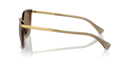 0RA5309U Polar Gradient Brown Transparent Light Brown 7895653289765