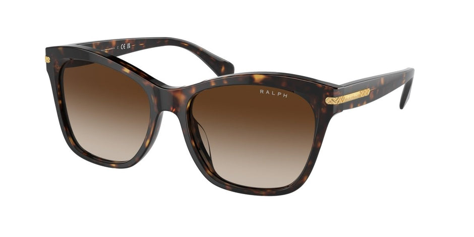 0RA5310U Gradient Brown Shiny Dark Havana 8056262005750